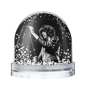 Водяной шар с принтом Ramones 5 в Курске, Пластик | Изображение внутри шара печатается на глянцевой фотобумаге с двух сторон | joey ramone | punk | джоуи рамон | панк | рамонез | рамонес