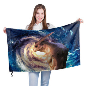 Флаг 3D Пришелец: в Курске, 100% полиэстер | плотность ткани — 95 г/м2, размер — 67 х 109 см. Принт наносится с одной стороны | взгляд | вселенная | инопланетянин | космос | пришелец