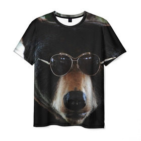 Мужская футболка 3D с принтом Медведь в очках в Курске, 100% полиэфир | прямой крой, круглый вырез горловины, длина до линии бедер | Тематика изображения на принте: животное | медведь | новая | очки | природа | стильная