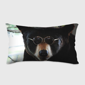 Подушка 3D антистресс с принтом Медведь в очках в Курске, наволочка — 100% полиэстер, наполнитель — вспененный полистирол | состоит из подушки и наволочки на молнии | животное | медведь | новая | очки | природа | стильная