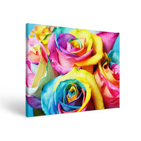 Холст прямоугольный с принтом Радужная роза в Курске, 100% ПВХ |  | бутон | лепестки | радуга | радужная роза | спектр | цвет | цветные | яркий