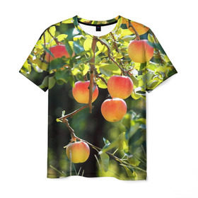 Мужская футболка 3D с принтом Яблоки в Курске, 100% полиэфир | прямой крой, круглый вырез горловины, длина до линии бедер | дерево | зелень | красные | сад
