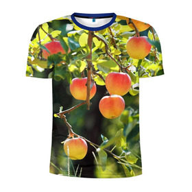 Мужская футболка 3D спортивная с принтом Яблоки в Курске, 100% полиэстер с улучшенными характеристиками | приталенный силуэт, круглая горловина, широкие плечи, сужается к линии бедра | дерево | зелень | красные | сад