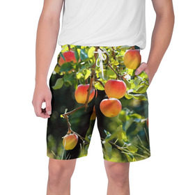 Мужские шорты 3D с принтом Яблоки в Курске,  полиэстер 100% | прямой крой, два кармана без застежек по бокам. Мягкая трикотажная резинка на поясе, внутри которой широкие завязки. Длина чуть выше колен | дерево | зелень | красные | сад