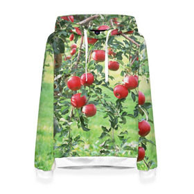 Женская толстовка 3D с принтом Яблоки в Курске, 100% полиэстер  | двухслойный капюшон со шнурком для регулировки, мягкие манжеты на рукавах и по низу толстовки, спереди карман-кенгуру с мягким внутренним слоем. | дерево | зелень | красные | сад | яблоки