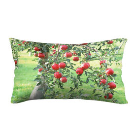 Подушка 3D антистресс с принтом Яблоки в Курске, наволочка — 100% полиэстер, наполнитель — вспененный полистирол | состоит из подушки и наволочки на молнии | дерево | зелень | красные | сад | яблоки