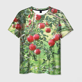 Мужская футболка 3D с принтом Яблоки в Курске, 100% полиэфир | прямой крой, круглый вырез горловины, длина до линии бедер | дерево | зелень | красные | сад | яблоки