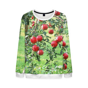 Мужской свитшот 3D с принтом Яблоки в Курске, 100% полиэстер с мягким внутренним слоем | круглый вырез горловины, мягкая резинка на манжетах и поясе, свободная посадка по фигуре | дерево | зелень | красные | сад | яблоки