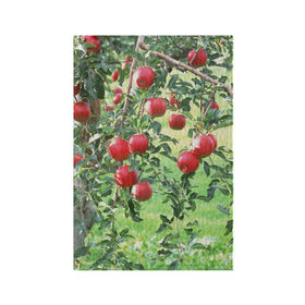 Обложка для паспорта матовая кожа с принтом Яблоки в Курске, натуральная матовая кожа | размер 19,3 х 13,7 см; прозрачные пластиковые крепления | Тематика изображения на принте: дерево | зелень | красные | сад | яблоки