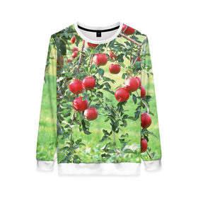 Женский свитшот 3D с принтом Яблоки в Курске, 100% полиэстер с мягким внутренним слоем | круглый вырез горловины, мягкая резинка на манжетах и поясе, свободная посадка по фигуре | дерево | зелень | красные | сад | яблоки