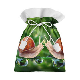 Подарочный 3D мешок с принтом Улитки в Курске, 100% полиэстер | Размер: 29*39 см | Тематика изображения на принте: зеленая | любовь | природа | улитка