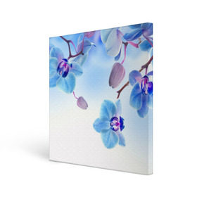 Холст квадратный с принтом Голубая орхидея в Курске, 100% ПВХ |  | Тематика изображения на принте: голубая орхидея | красота | орхидеи | природа | цветок | цветочек | цветы