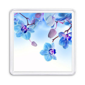 Магнит 55*55 с принтом Голубая орхидея в Курске, Пластик | Размер: 65*65 мм; Размер печати: 55*55 мм | голубая орхидея | красота | орхидеи | природа | цветок | цветочек | цветы