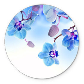 Коврик круглый с принтом Голубая орхидея в Курске, резина и полиэстер | круглая форма, изображение наносится на всю лицевую часть | голубая орхидея | красота | орхидеи | природа | цветок | цветочек | цветы