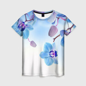 Женская футболка 3D с принтом Голубая орхидея в Курске, 100% полиэфир ( синтетическое хлопкоподобное полотно) | прямой крой, круглый вырез горловины, длина до линии бедер | Тематика изображения на принте: голубая орхидея | красота | орхидеи | природа | цветок | цветочек | цветы
