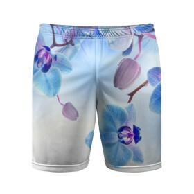 Мужские шорты 3D спортивные с принтом Голубая орхидея в Курске,  |  | Тематика изображения на принте: голубая орхидея | красота | орхидеи | природа | цветок | цветочек | цветы