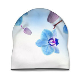 Шапка 3D с принтом Голубая орхидея в Курске, 100% полиэстер | универсальный размер, печать по всей поверхности изделия | Тематика изображения на принте: голубая орхидея | красота | орхидеи | природа | цветок | цветочек | цветы