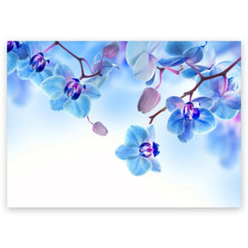Поздравительная открытка с принтом Голубая орхидея в Курске, 100% бумага | плотность бумаги 280 г/м2, матовая, на обратной стороне линовка и место для марки
 | Тематика изображения на принте: голубая орхидея | красота | орхидеи | природа | цветок | цветочек | цветы