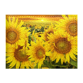 Обложка для студенческого билета с принтом Подсолнухи в Курске, натуральная кожа | Размер: 11*8 см; Печать на всей внешней стороне | желтый | солнце | цветок | яркий