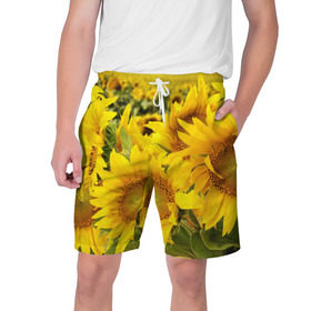 Мужские шорты 3D с принтом Подсолнухи в Курске,  полиэстер 100% | прямой крой, два кармана без застежек по бокам. Мягкая трикотажная резинка на поясе, внутри которой широкие завязки. Длина чуть выше колен | Тематика изображения на принте: желтый | солнце | цветок | яркий