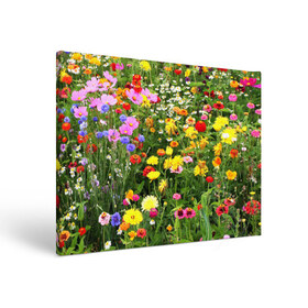 Холст прямоугольный с принтом Полевые цветы 1 в Курске, 100% ПВХ |  | Тематика изображения на принте: поле | полевые цветы | цветы