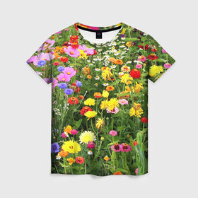 Женская футболка 3D с принтом Полевые цветы 1 в Курске, 100% полиэфир ( синтетическое хлопкоподобное полотно) | прямой крой, круглый вырез горловины, длина до линии бедер | поле | полевые цветы | цветы