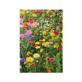 Обложка для паспорта матовая кожа с принтом Полевые цветы 1 в Курске, натуральная матовая кожа | размер 19,3 х 13,7 см; прозрачные пластиковые крепления | Тематика изображения на принте: поле | полевые цветы | цветы