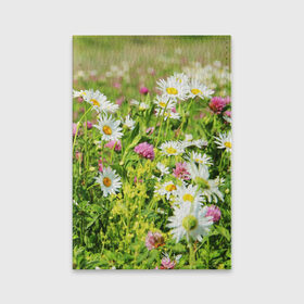 Обложка для паспорта матовая кожа с принтом Полевые цветы 3 в Курске, натуральная матовая кожа | размер 19,3 х 13,7 см; прозрачные пластиковые крепления | поле | полевые цветы | цветы
