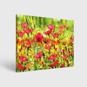 Холст прямоугольный с принтом Полевые цветы 5 в Курске, 100% ПВХ |  | Тематика изображения на принте: поле | полевые цветы | цветы