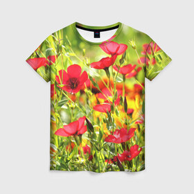 Женская футболка 3D с принтом Полевые цветы 5 в Курске, 100% полиэфир ( синтетическое хлопкоподобное полотно) | прямой крой, круглый вырез горловины, длина до линии бедер | поле | полевые цветы | цветы