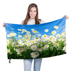 Флаг 3D с принтом Полевые цветы 7 в Курске, 100% полиэстер | плотность ткани — 95 г/м2, размер — 67 х 109 см. Принт наносится с одной стороны | поле | полевые цветы | цветы