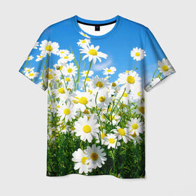 Мужская футболка 3D с принтом Полевые цветы 7 в Курске, 100% полиэфир | прямой крой, круглый вырез горловины, длина до линии бедер | поле | полевые цветы | цветы