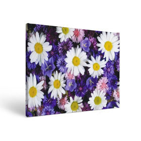 Холст прямоугольный с принтом Полевые цветы 8 в Курске, 100% ПВХ |  | Тематика изображения на принте: поле | полевые цветы | цветы