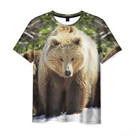 Мужская футболка 3D с принтом Медведи в Курске, 100% полиэфир | прямой крой, круглый вырез горловины, длина до линии бедер | звери | медведь | мишка | природа