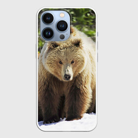 Чехол для iPhone 13 Pro с принтом Медведи в Курске,  |  | звери | медведь | мишка | природа