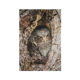 Обложка для паспорта матовая кожа с принтом Совы в Курске, натуральная матовая кожа | размер 19,3 х 13,7 см; прозрачные пластиковые крепления | звери | природа | птицы | сова | сыч