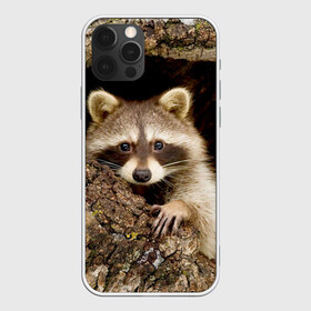 Чехол для iPhone 12 Pro Max с принтом Енот в Курске, Силикон |  | Тематика изображения на принте: енот | звери | полоскун | природа