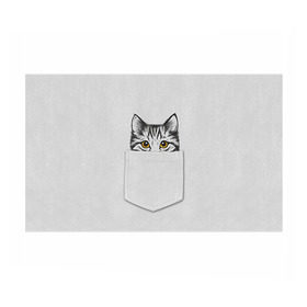 Бумага для упаковки 3D с принтом Кот в кармане 2 в Курске, пластик и полированная сталь | круглая форма, металлическое крепление в виде кольца | Тематика изображения на принте: animals | cat | kitty | животные | кот | котик