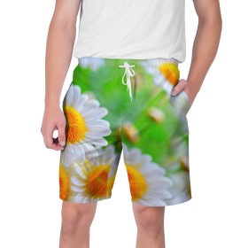 Мужские шорты 3D с принтом Ромашки в Курске,  полиэстер 100% | прямой крой, два кармана без застежек по бокам. Мягкая трикотажная резинка на поясе, внутри которой широкие завязки. Длина чуть выше колен | фото | цветы