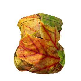 Бандана-труба 3D с принтом Краски осени в Курске, 100% полиэстер, ткань с особыми свойствами — Activecool | плотность 150‒180 г/м2; хорошо тянется, но сохраняет форму | листва | листья | осень