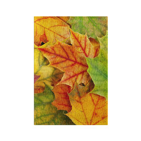 Обложка для паспорта матовая кожа с принтом Краски осени в Курске, натуральная матовая кожа | размер 19,3 х 13,7 см; прозрачные пластиковые крепления | Тематика изображения на принте: листва | листья | осень