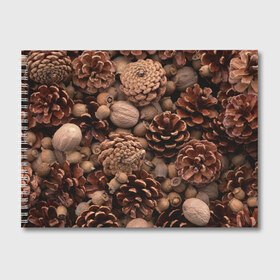 Альбом для рисования с принтом Шишки и орешки в Курске, 100% бумага
 | матовая бумага, плотность 200 мг. | дуб | ёлка | ель | жёлудь | иголки | кедр | лес | орех | орешки | осень | сосна | шишки