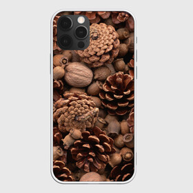 Чехол для iPhone 12 Pro с принтом Шишки и орешки в Курске, силикон | область печати: задняя сторона чехла, без боковых панелей | дуб | ёлка | ель | жёлудь | иголки | кедр | лес | орех | орешки | осень | сосна | шишки