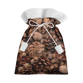 Подарочный 3D мешок с принтом Шишки и орешки в Курске, 100% полиэстер | Размер: 29*39 см | дуб | ёлка | ель | жёлудь | иголки | кедр | лес | орех | орешки | осень | сосна | шишки