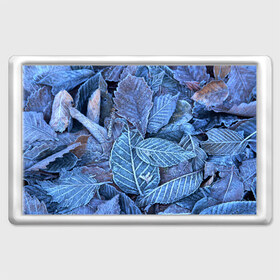 Магнит 45*70 с принтом Застывшие листья в Курске, Пластик | Размер: 78*52 мм; Размер печати: 70*45 | иней | мороз | осень | холод