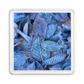 Магнит 55*55 с принтом Застывшие листья в Курске, Пластик | Размер: 65*65 мм; Размер печати: 55*55 мм | иней | мороз | осень | холод