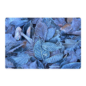 Магнитный плакат 3Х2 с принтом Застывшие листья в Курске, Полимерный материал с магнитным слоем | 6 деталей размером 9*9 см | иней | мороз | осень | холод