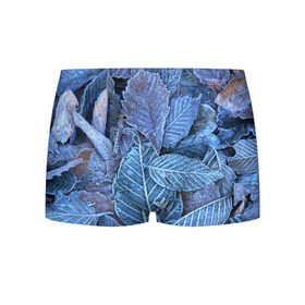 Мужские трусы 3D с принтом Застывшие листья в Курске, 50% хлопок, 50% полиэстер | классическая посадка, на поясе мягкая тканевая резинка | иней | мороз | осень | холод