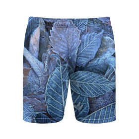 Мужские шорты 3D спортивные с принтом Застывшие листья в Курске,  |  | иней | мороз | осень | холод