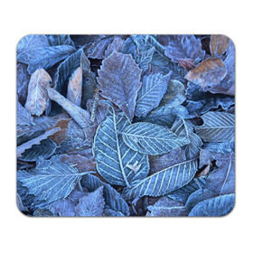 Коврик прямоугольный с принтом Застывшие листья в Курске, натуральный каучук | размер 230 х 185 мм; запечатка лицевой стороны | иней | мороз | осень | холод